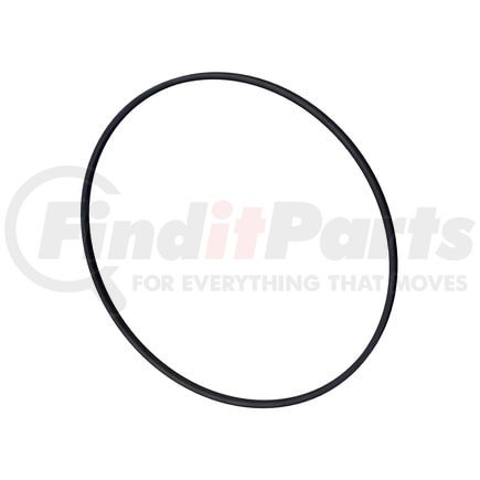 Cummins 3907177 Seal Ring / Washer - Rectangular