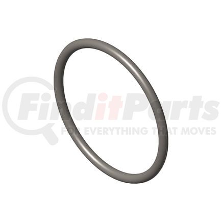 Cummins 3910517 Seal Ring / Washer