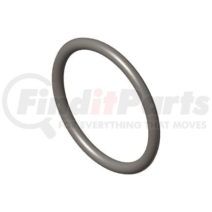 Cummins 3931824 Seal Ring / Washer