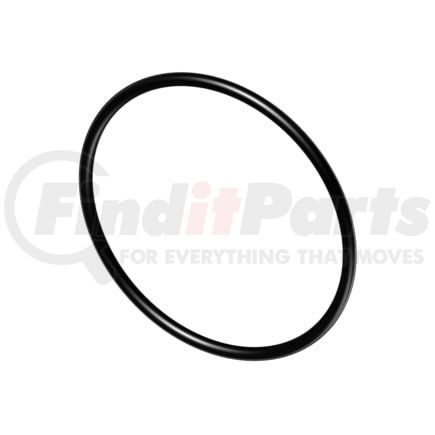 Cummins 4059172 Seal Ring / Washer