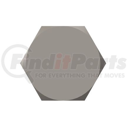 Cummins 103009 Screw Cap - Hexagon Head