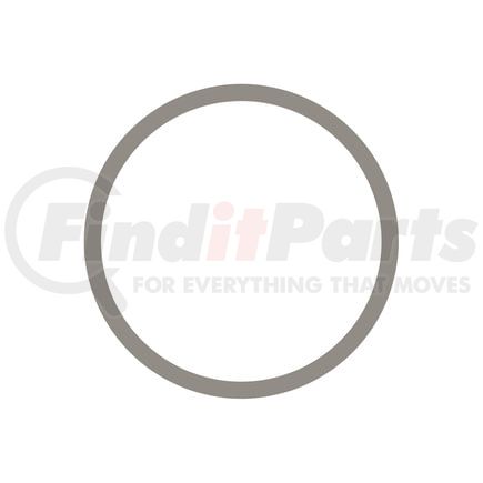 Cummins 3018695 Seal Ring / Washer