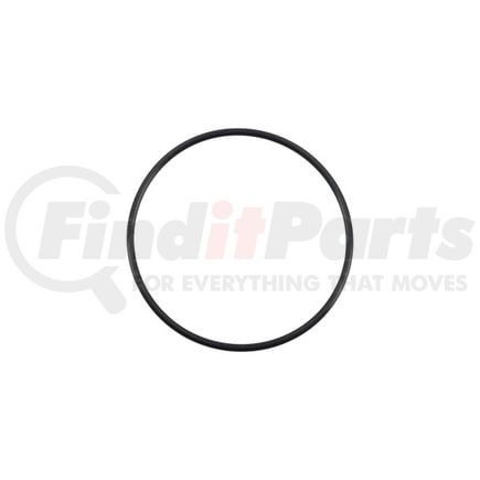 Cummins 145558 Seal Ring / Washer