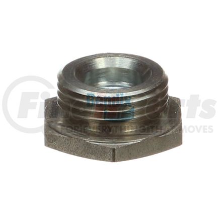 Bendix 245339 Cap Nut