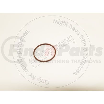 Blumaq 19033780B Multi-Purpose Seal Ring - Plastic, 45.57 mm. ID x 50.2 mm. OD