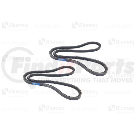 Blumaq VO13966394 V-Ribbed Belts - Set of 2 fit for Volvo Applications