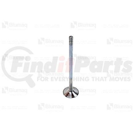 Blumaq VO20739058 Engine Intake Valve - fit for Volvo Applications