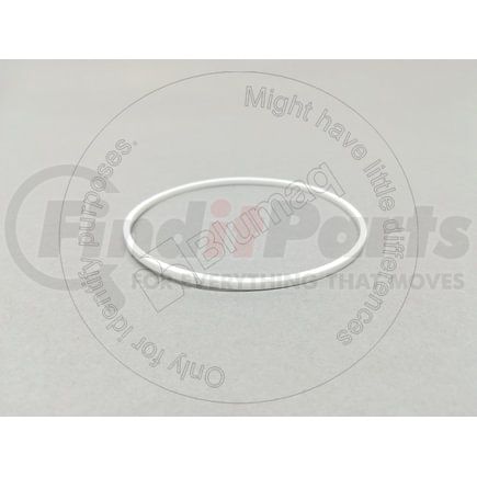 Blumaq 3P-0800 Multi-Purpose Seal Ring - Plastic, 67.70 mm. ID