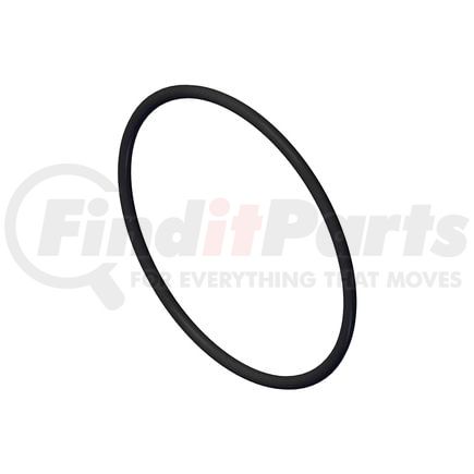 Cummins 4992509 Seal Ring / Washer