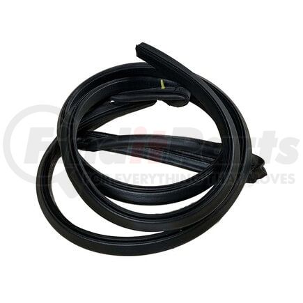 International 3602208C1 Right Side Door Seal Assembly