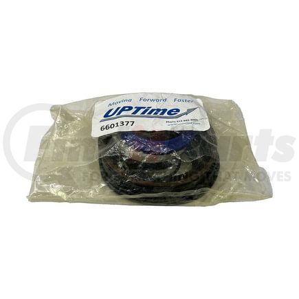 Manitex 6601377 Jack Cylinder Seal Kit