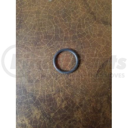 International 1811053C1 RING O