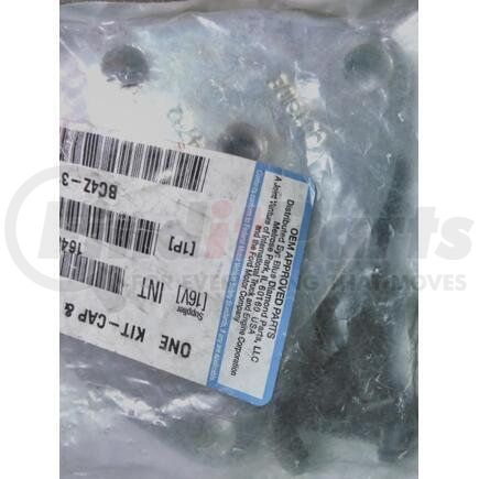 International 1648212C1 Steering King Pin Set Cap, Navistar Compatible