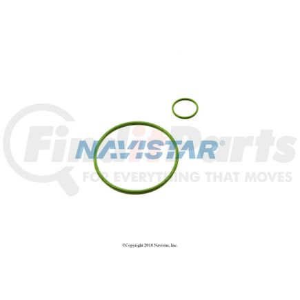 International 1698250C1 Gasket And O-Ring Kit, Navistar Compatible