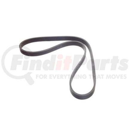 International 1847707C1 Belt Fan V-Ribbed 10Pk 2185Mm, Navistar Compatible