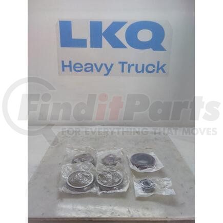 International 1676486C91 Axle Differential Bearing and Seal Kit, Navistar Compatible