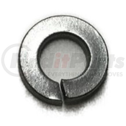 International 120380 Washer Lock - 1/4" REG STL/ZNC, Navistar Compatible