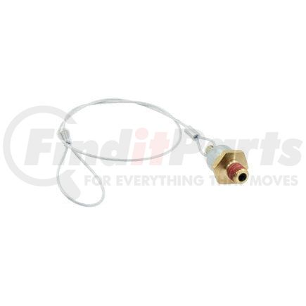 International 530924C91 Air Brake Reservoir Drain Valve - With Cable, 12", Navistar Compatible