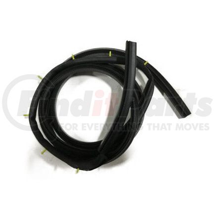 International 3602207C1 SEAL ASSY DOOR LH