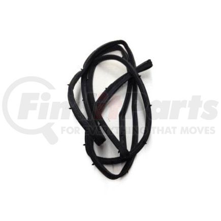 International 444058C2 Door Seal, Navistar Compatible