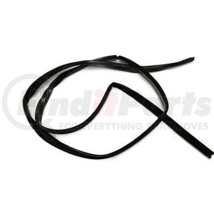 International 498853C2 Door Window Glass Run Channel, Navistar Compatible