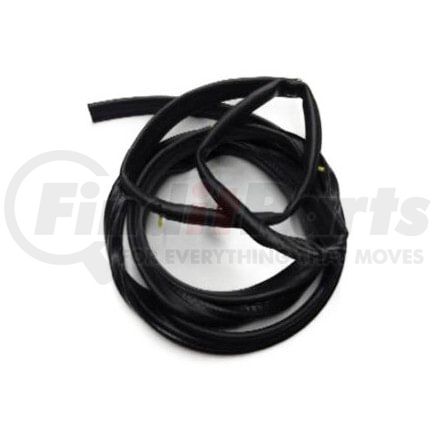 International 1658056C2 Door Seal, Navistar Compatible