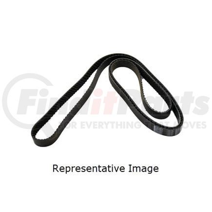 International 1832193C2 BELT V-RIBBED 8PK2704