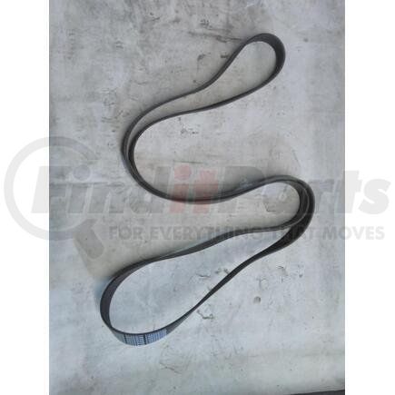 International 4078259C1 Serpentine Belt - 101.57 in. Length, 8PK, Type IV