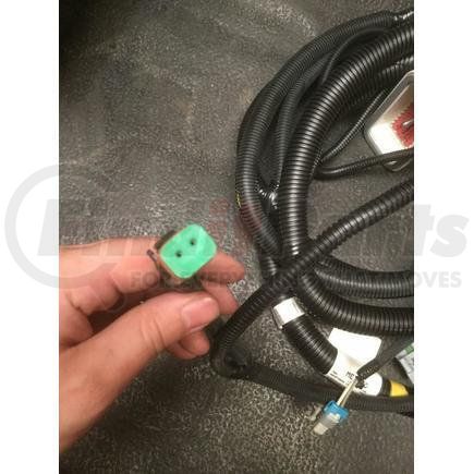 International 2591884C91 HARNESS