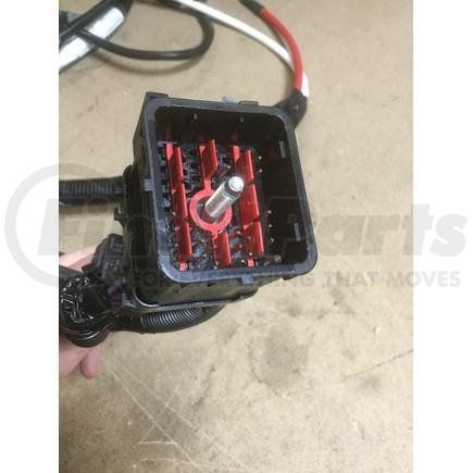 International 2591880C91 HARNESS,HARN I6 ENG 07 BLD-TO
