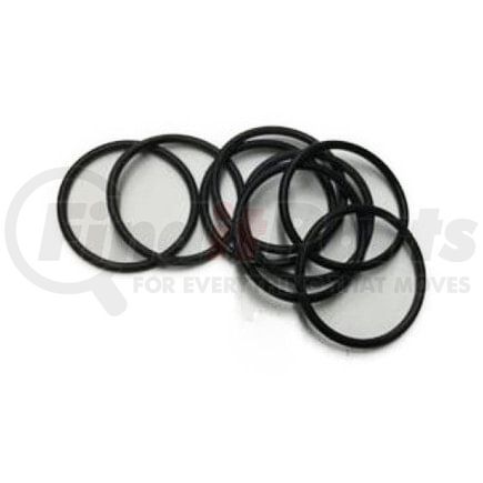 International 3006012C1 O-Ring, Navistar Compatible