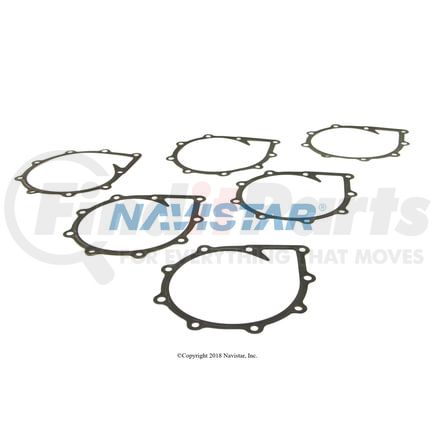 International 62069010192 Engine Water Pump Gasket, Navistar Compatible
