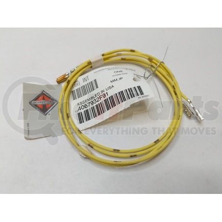 International 4067932F91 Fog Light Wiring Harness - IP, Navistar Compatible