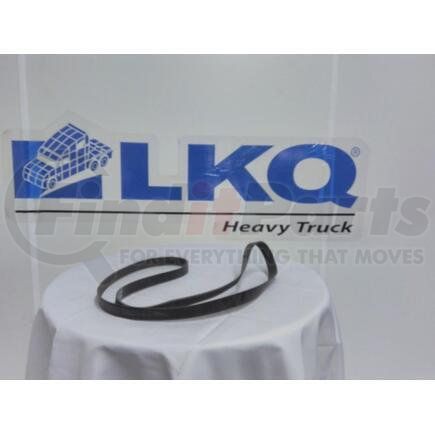 International 4106109C1 BELT,FAN , 8PK ACCESORY 2075.1