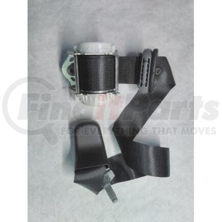 International 3713599C2 Safety Belt, Navistar Compatible