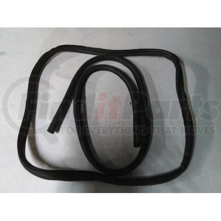 International 4156455C2 Seal - Luggage Door, Navistar Compatible