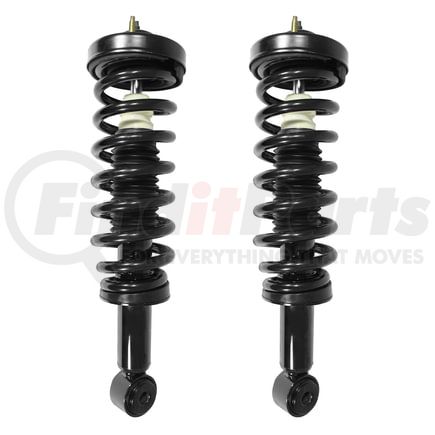 Unity Automotive 2-11206-001 Suspension Strut And Coil Spring Assembly Set