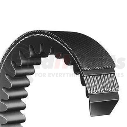World American WA900-03-2048 V-Belts, 9.5" Length, 0.88" Top Width, 50.1" Circumference