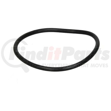 World American WADT12-0055 Multi-Purpose Seal Ring