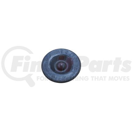Dexter Axle 85-1 PLUG: E-Z LUBE