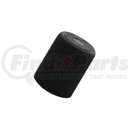 Mopar 05161786AA CAP