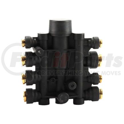 Automann 170.1022OE Air PPV Manifol