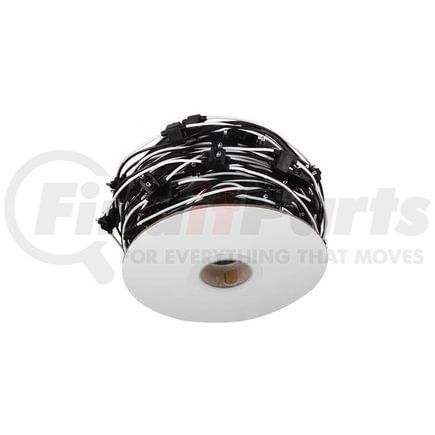 Automann 571.PT116-100-12 Pigtail, 2 Wire, Continuous, 12 in. Spacing
