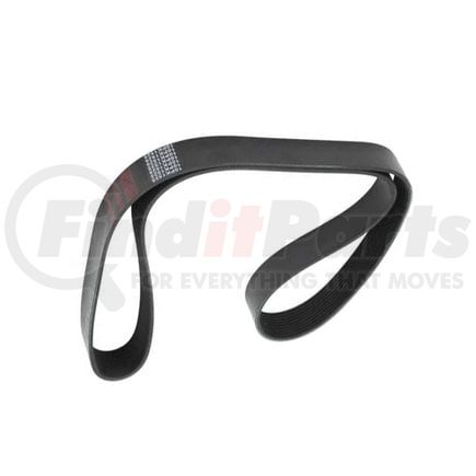 Automann 815.4100600 CONTINENTAL ELITE POLY-V SERPE
