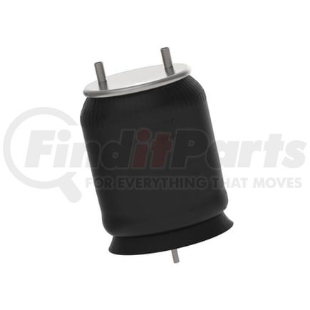 Automann AB1DK23M-P195 AIR SPRING ROLLING LOBE
