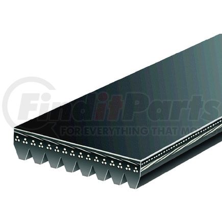 ACDelco 2PJ800 V-Ribbed Serpen (B)