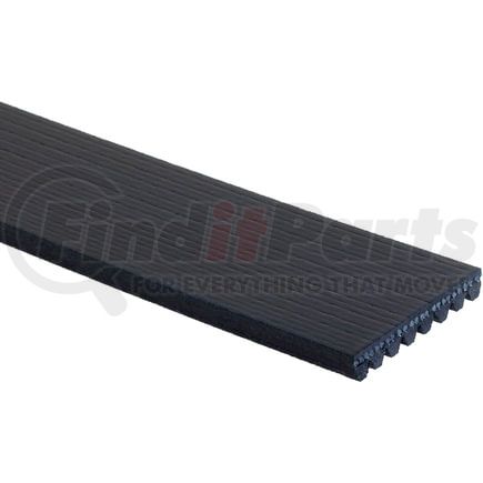 ACDelco 8K334 V-Ribbed Serpen (B)