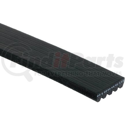 ACDelco 5K321 V-Ribbed Serpen (B)