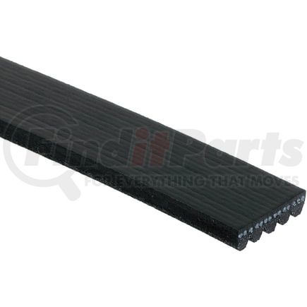 ACDelco 5K442 V-Ribbed Serpen (B)