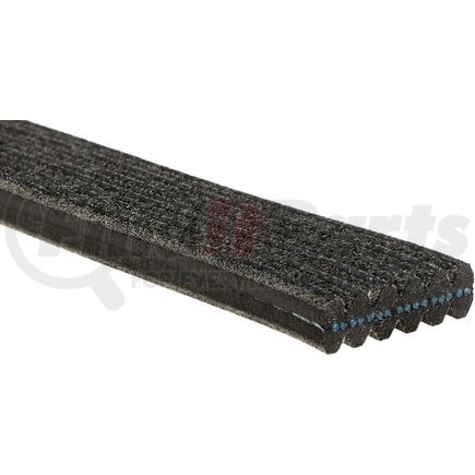 ACDelco 6DK901 Double-Sided V- (A)